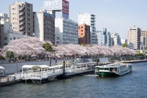 隅田公園