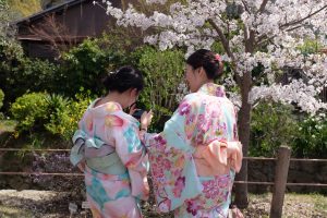 写真を撮りあう着物女性