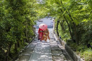 神社へ向かう着物女性