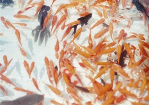 金魚すくい