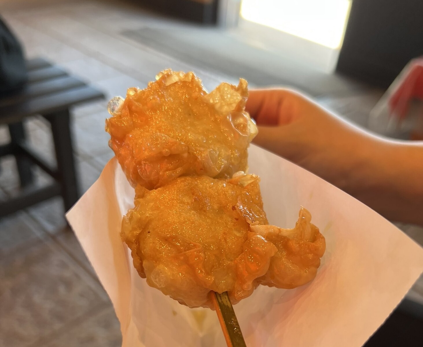 京都嵐山湯葉チーズ本舗