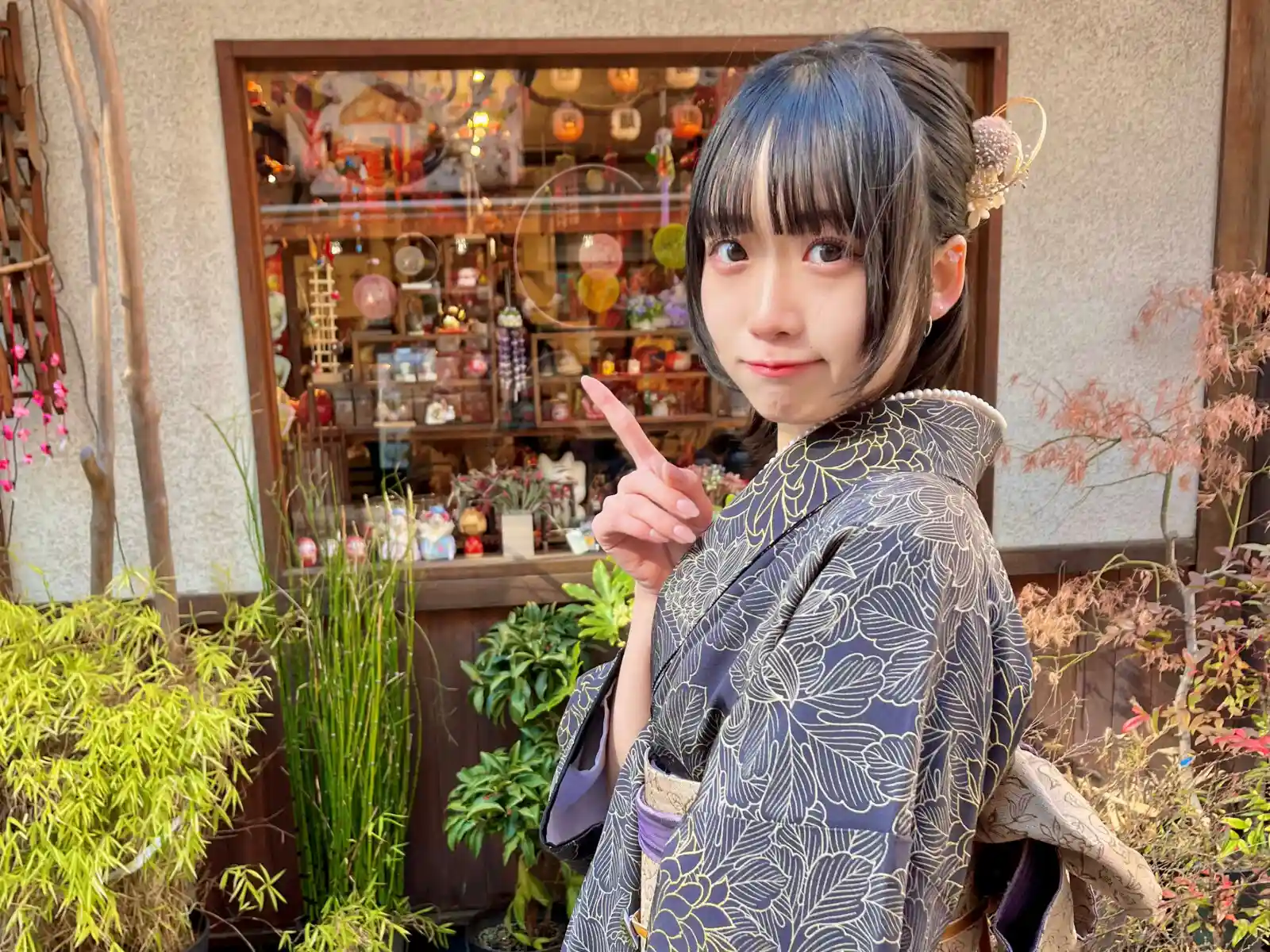 春に人気のプラン