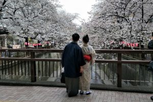 花見をする着物のカップル