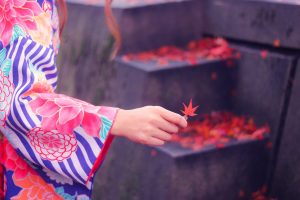 紅葉と着物