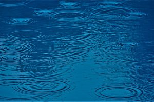 雨